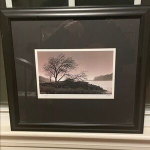 Richard Calvo Riverview Professional Framed Black and White Tree Photograph